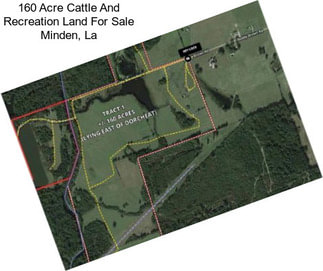 160 Acre Cattle And Recreation Land For Sale Minden, La