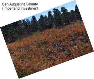 San Augustine County Timberland Investment