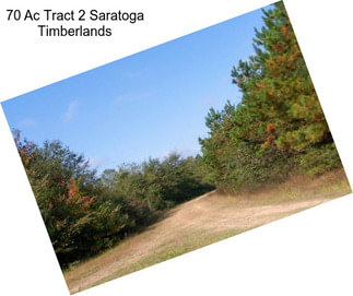 70 Ac Tract 2 Saratoga Timberlands