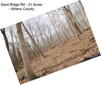 Sand Ridge Rd - 21 Acres - Athens County