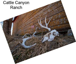 Cattle Canyon Ranch