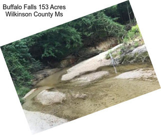 Buffalo Falls 153 Acres Wilkinson County Ms