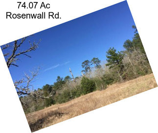 74.07 Ac Rosenwall Rd.