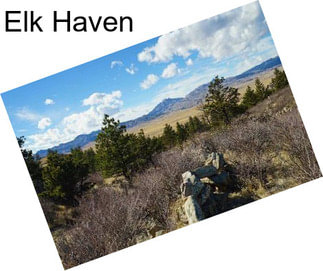 Elk Haven