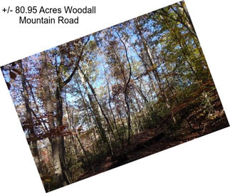 +/- 80.95 Acres Woodall Mountain Road