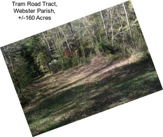 Tram Road Tract, Webster Parish, +/-160 Acres