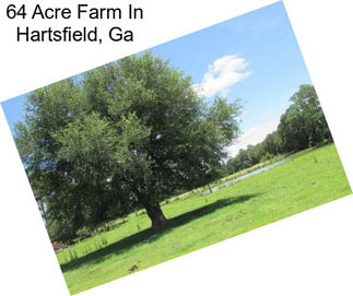 64 Acre Farm In Hartsfield, Ga
