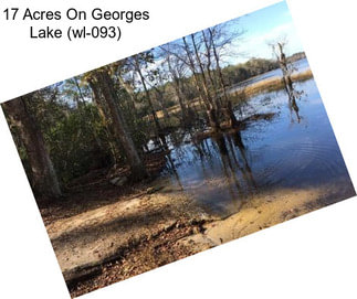 17 Acres On Georges Lake (wl-093)