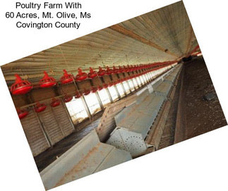 Poultry Farm With 60 Acres, Mt. Olive, Ms Covington County