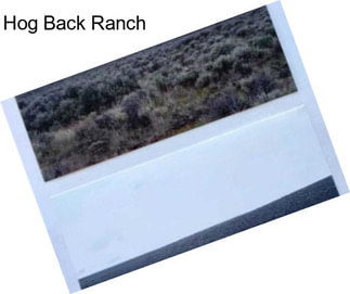 Hog Back Ranch