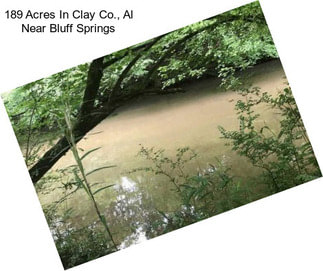 189 Acres In Clay Co., Al Near Bluff Springs