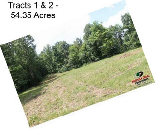 Tracts 1 & 2 - 54.35 Acres