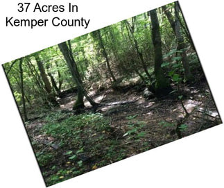 37 Acres In Kemper County