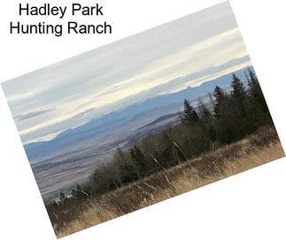 Hadley Park Hunting Ranch