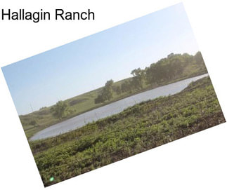 Hallagin Ranch