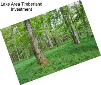 Lake Area Timberland Investment