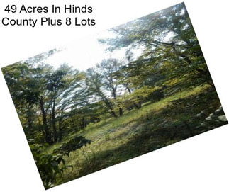 49 Acres In Hinds County Plus 8 Lots