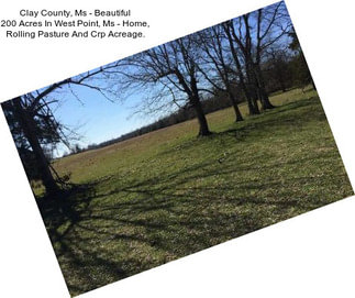 Clay County, Ms - Beautiful 200 Acres In West Point, Ms - Home, Rolling Pasture And Crp Acreage.