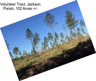 Volunteer Tract, Jackson Parish, 102 Acres +/-