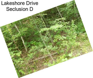 Lakeshore Drive Seclusion D