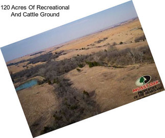 120 Acres Of Recreational And Cattle Ground