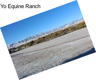 Yo Equine Ranch