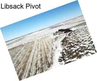 Libsack Pivot