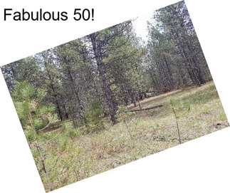 Fabulous 50!