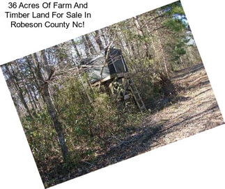 36 Acres Of Farm And Timber Land For Sale In Robeson County Nc!