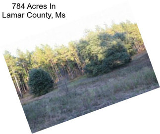 784 Acres In Lamar County, Ms