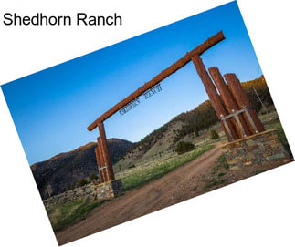 Shedhorn Ranch