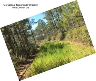 Recreational Timberland For Sale In Ware County, Ga