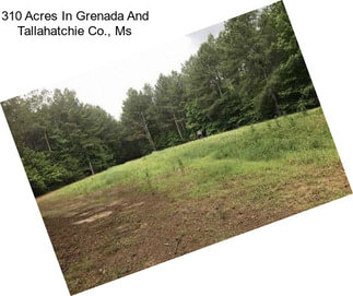 310 Acres In Grenada And Tallahatchie Co., Ms