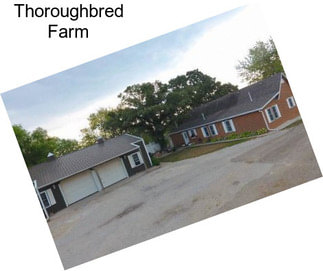 Thoroughbred Farm