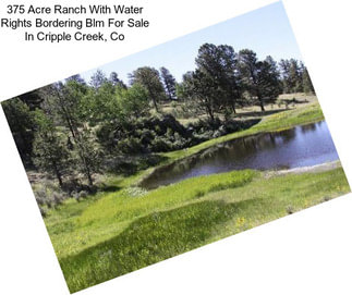 375 Acre Ranch With Water Rights Bordering Blm For Sale In Cripple Creek, Co