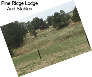 Pine Ridge Lodge And Stables