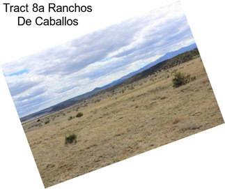 Tract 8a Ranchos De Caballos