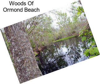 Woods Of Ormond Beach