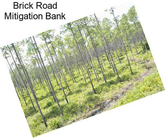 Brick Road Mitigation Bank