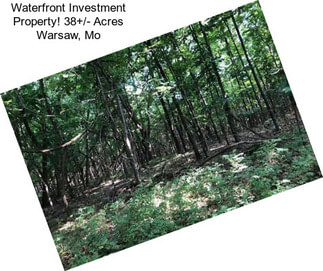 Waterfront Investment Property! 38+/- Acres Warsaw, Mo