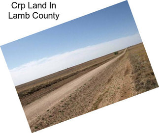 Crp Land In Lamb County