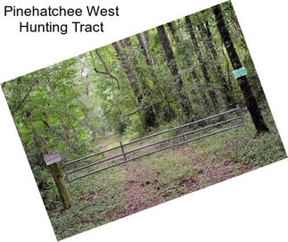 Pinehatchee West Hunting Tract