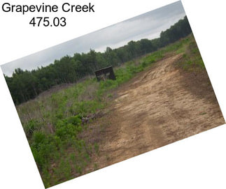 Grapevine Creek 475.03