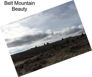 Belt Mountain Beauty