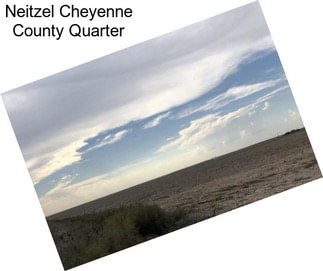 Neitzel Cheyenne County Quarter
