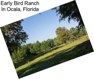 Early Bird Ranch In Ocala, Florida