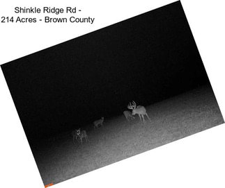 Shinkle Ridge Rd - 214 Acres - Brown County