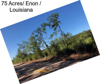 75 Acres/ Enon / Louisiana