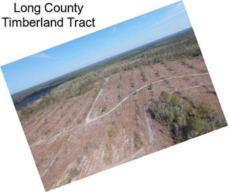 Long County Timberland Tract