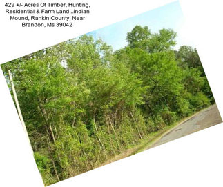 429 +/- Acres Of Timber, Hunting, Residential & Farm Land...indian Mound, Rankin County, Near Brandon, Ms 39042